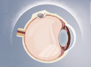 yl6809永利(集团)有限公司官网