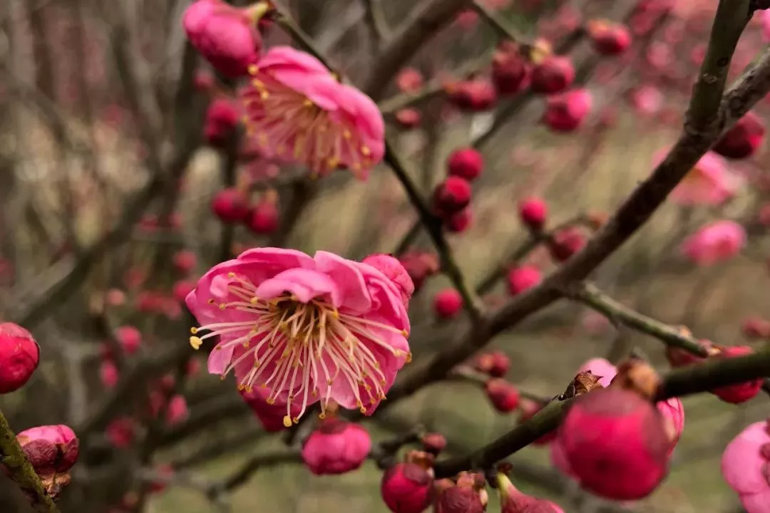yl6809永利(集团)有限公司官网