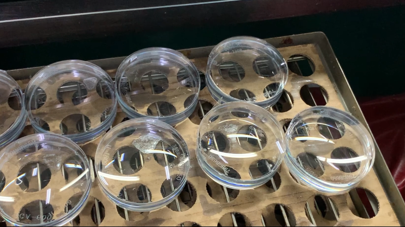 yl6809永利(集团)有限公司官网